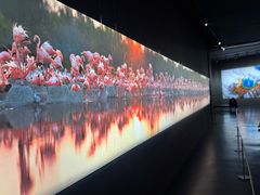 -罗红摄影艺术馆