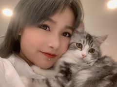 -飞行喵MR PILOT|猫舍·猫咖(静安大融城店)