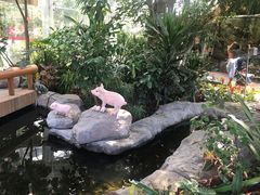-北京植物园-展览温室