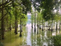 -南宁花花大世界景区