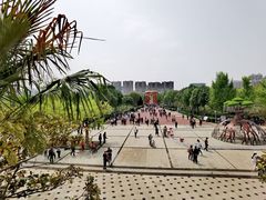 -曹州牡丹园