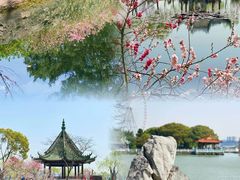 -无锡蠡湖国家湿地公园-蠡园