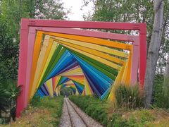 -合肥滨湖国家森林公园