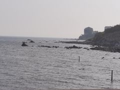 -养马岛旅游度假区