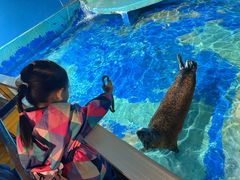 -太平洋海底世界