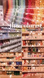 -THE COLORIST调色师