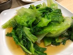 -广达眼镜炖罐(广达店)