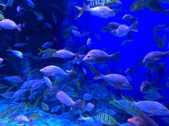 -成都浩海立方海洋公园