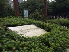 iphone_upload_pic-神仙树公园