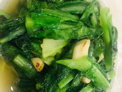 -东吴霸王兔(松青路店)