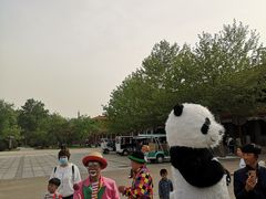 -南戴河国际娱乐中心