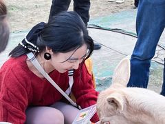 -合肥滨湖国家森林公园