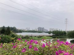 -广东花都湖国家湿地公园