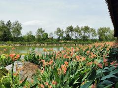 -池杉湖湿地公园