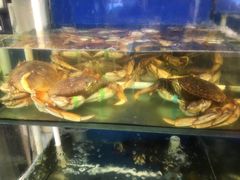 -渔中舟海鲜大排档(普陀沈家门店)