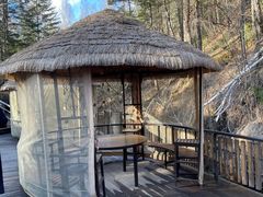 -峡谷浮石林景区