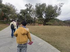 -云溪植物园