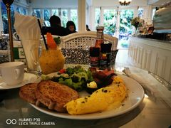 -Fern Forest Cafe