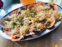 蒜蓉粉丝蒸扇贝-七鲜渔港美食餐厅(巽寮湾海景店)