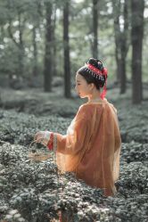 -八角古风摄影