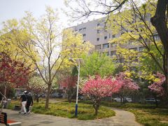 -丰台花园