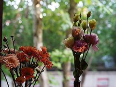 -花满楼(启秀路店)