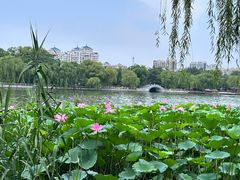 -济南大明湖景区