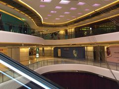 -蝶园·装修中(BFC外滩金融中心店)