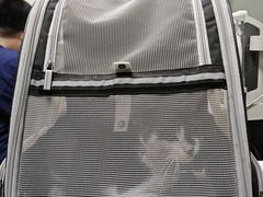 -宠物星动物医院·眼科·异宠·猫科(江南大道总院)