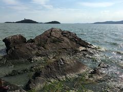 -上海市保健医疗中心(华东疗养院)