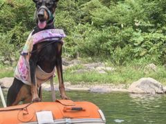 -安吉龙王山峡谷漂流