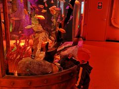 -沈阳海洋探索中心