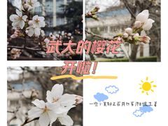 -武汉大学-樱园
