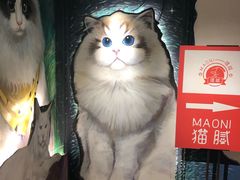 -猫腻·猫咖·撸猫馆(星光大道店)