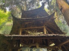 -青城山