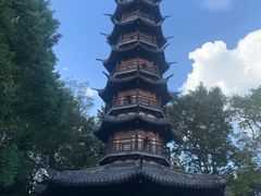 -上海佘山国家森林公园西佘山园