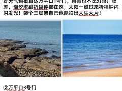 -日照海滨国家森林公园