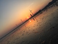 -碧海金沙