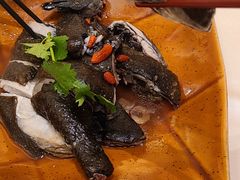 -沙龙酒家