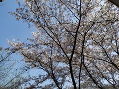 -萨莉亚意式餐厅(杭州西溪龙湖天街店)