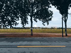 -汉长安城未央宫国家考古遗址公园