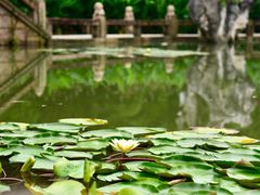 -韩湘水博园