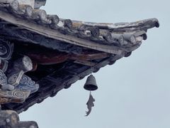 -小普陀