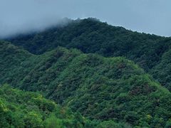 -神农架景区