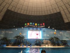 -泉城欧乐堡海洋极地世界