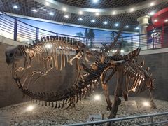 -国家自然博物馆