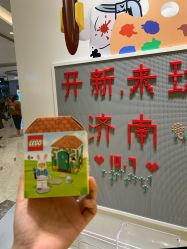 -乐高授权专卖店(济南万象城店)