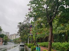 -南宁市凤岭儿童公园