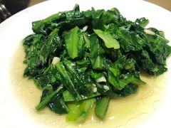 油麦菜-炊烟·山房菜