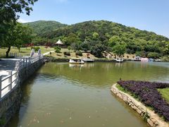 -龙寺生态园